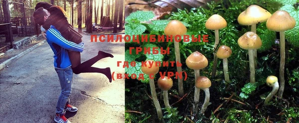 мяу мяу мука Верхний Тагил
