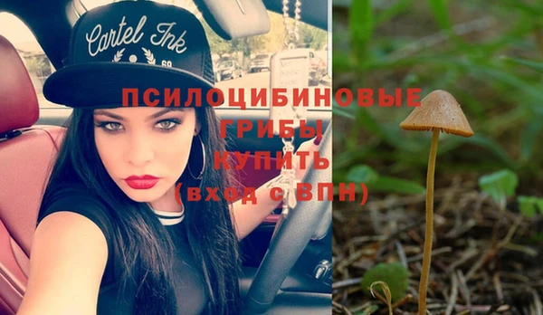 каннабис Верея