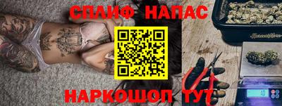 a pvp Славгород