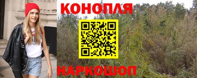 индика Славянск-на-Кубани