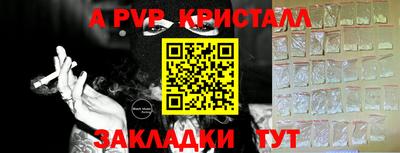 a pvp Славгород
