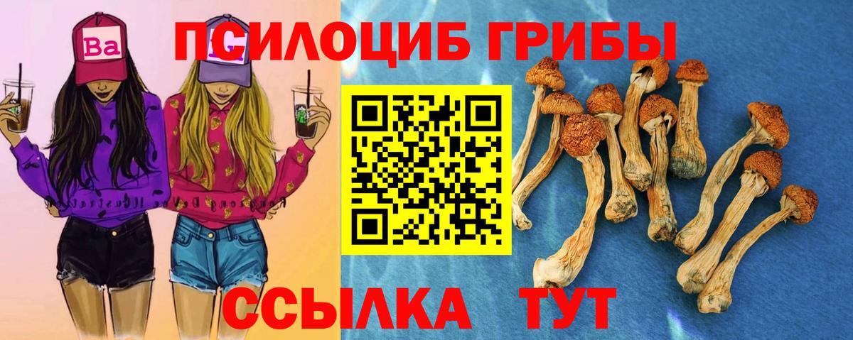 Рузаевка  Галлюциногенные грибы Psilocybine cubensis  Галлюциногенные грибы GOLDEN TEACHER  Вход с VPN 