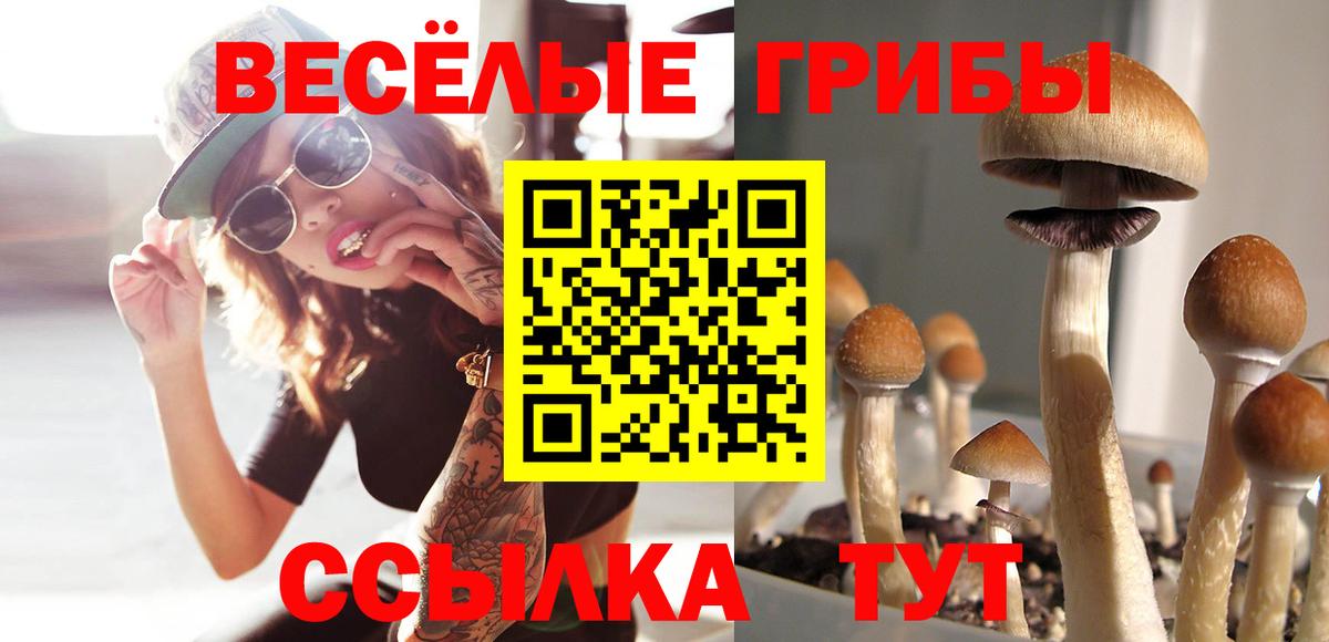 Псилоцибиновые грибы Cubensis Рузаевка